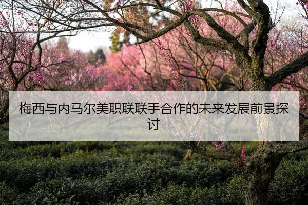 梅西与内马尔美职联联手合作的未来发展前景探讨