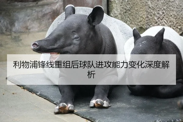 利物浦锋线重组后球队进攻能力变化深度解析