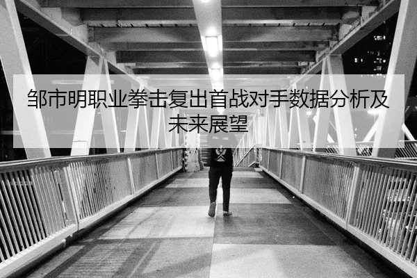 邹市明职业拳击复出首战对手数据分析及未来展望
